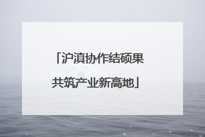 沪滇协作结硕果 共筑产业新高地