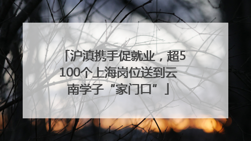 沪滇携手促就业，超5100个上海岗位送到云南学子“家门口”