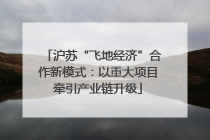 沪苏“飞地经济”合作新模式：以重大项目牵引产业链升级