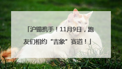 沪锡携手！11月9日，跑友们相约“吉象”赛道！