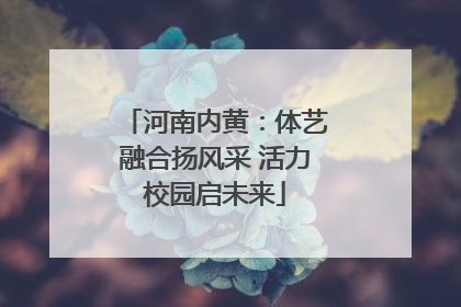 河南内黄：体艺融合扬风采 活力校园启未来
