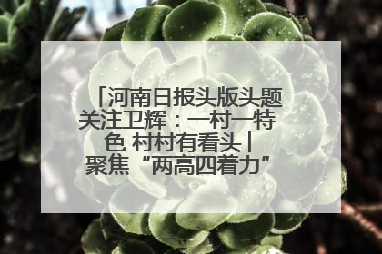 河南日报头版头题关注卫辉：一村一特色 村村有看头 ︳聚焦“两高四着力”·一“县”观察