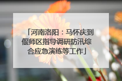 河南洛阳：马怀庆到偃师区指导调研防汛综合应急演练等工作