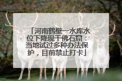 河南鹤壁一水库水位下降现千佛石窟：当地试过多种办法保护，目前禁止打卡