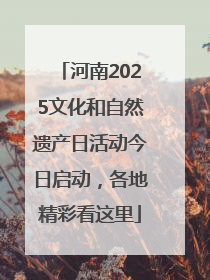 河南2025文化和自然遗产日活动今日启动，各地精彩看这里