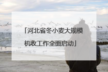 河北省冬小麦大规模机收工作全面启动