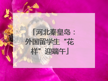 河北秦皇岛：外国留学生“花样”迎端午