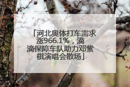 河北奥体打车需求涨966.1%，滴滴保障车队助力邓紫棋演唱会散场