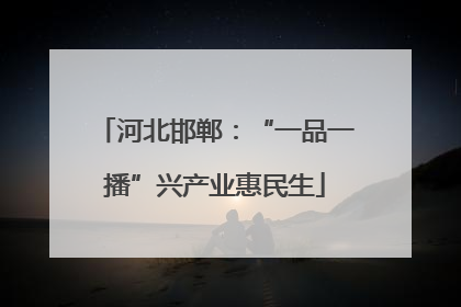 河北邯郸：“一品一播”兴产业惠民生