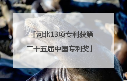 河北13项专利获第二十五届中国专利奖