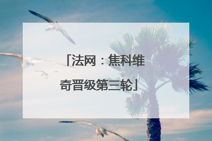 法网：焦科维奇晋级第三轮