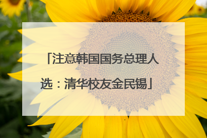 注意韩国国务总理人选：清华校友金民锡