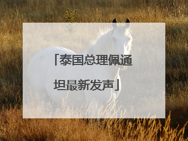 泰国总理佩通坦最新发声
