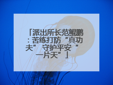 派出所长范鲲鹏：苦练打防“真功夫” 守护平安“一片天”