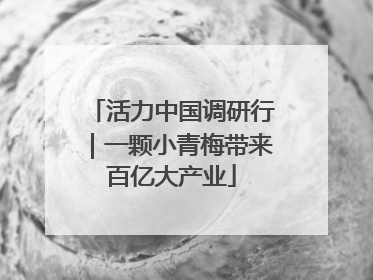 活力中国调研行｜一颗小青梅带来百亿大产业