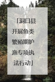 洞口县开展鱼类繁殖期护渔专项执法行动