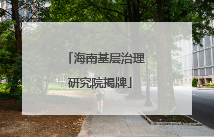 海南基层治理研究院揭牌