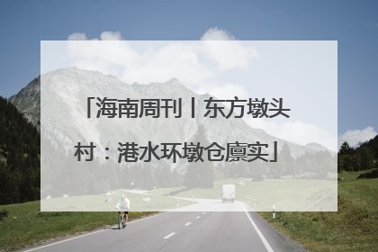 海南周刊丨东方墩头村：港水环墩仓廪实
