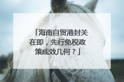 海南自贸港封关在即，先行免税政策成效几何？