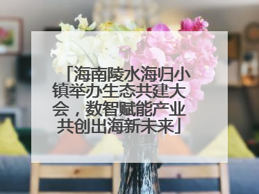 海南陵水海归小镇举办生态共建大会，数智赋能产业共创出海新未来