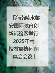 海南陵水黎安国际教育创新试验区举行2025年高校发展协同圆桌会会议