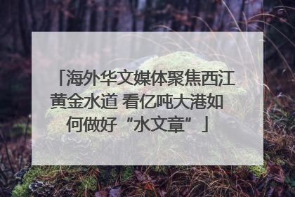 海外华文媒体聚焦西江黄金水道 看亿吨大港如何做好“水文章”