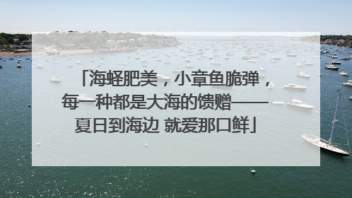 海蛏肥美，小章鱼脆弹，每一种都是大海的馈赠——夏日到海边 就爱那口鲜