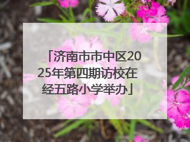 济南市市中区2025年第四期访校在经五路小学举办
