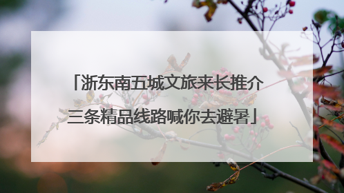 浙东南五城文旅来长推介 三条精品线路喊你去避暑