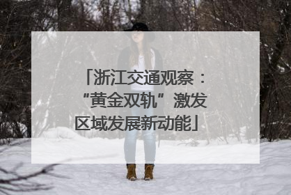 浙江交通观察：“黄金双轨”激发区域发展新动能