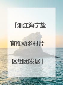浙江海宁盐官推动乡村片区组团发展