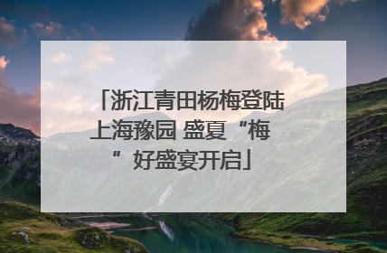 浙江青田杨梅登陆上海豫园 盛夏“梅”好盛宴开启