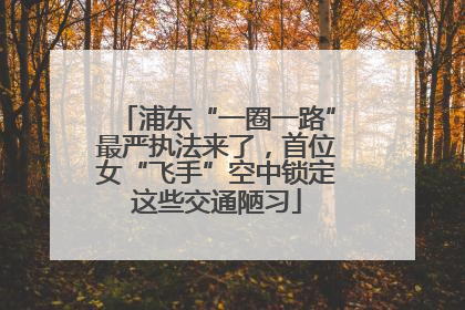 浦东“一圈一路”最严执法来了，首位女“飞手”空中锁定这些交通陋习