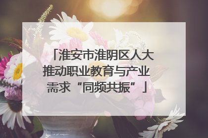 淮安市淮阴区人大推动职业教育与产业需求“同频共振”