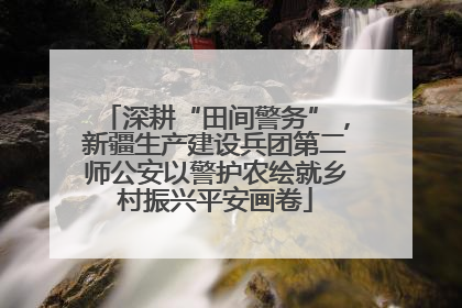 深耕“田间警务”，新疆生产建设兵团第二师公安以警护农绘就乡村振兴平安画卷