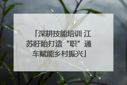 深耕技能培训 江苏盱眙打造“职”通车赋能乡村振兴