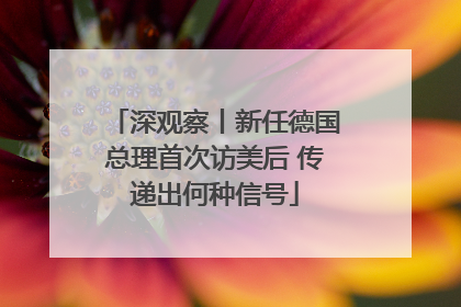 深观察丨新任德国总理首次访美后 传递出何种信号