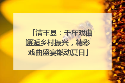 清丰县：千年戏曲邂逅乡村振兴，精彩戏曲盛宴燃动夏日