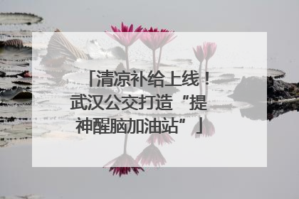 清凉补给上线！武汉公交打造“提神醒脑加油站”