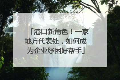 港口新角色！一家地方代表处，如何成为企业纾困好帮手