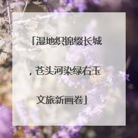 湿地织锦缀长城，苍头河染绿右玉文旅新画卷