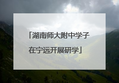湖南师大附中学子在宁远开展研学