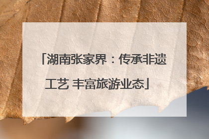 湖南张家界：传承非遗工艺 丰富旅游业态