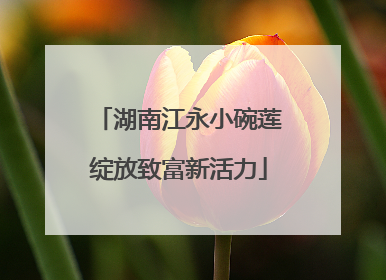 湖南江永小碗莲绽放致富新活力