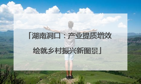 湖南洞口：产业提质增效 绘就乡村振兴新图景