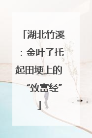 湖北竹溪：金叶子托起田埂上的“致富经”