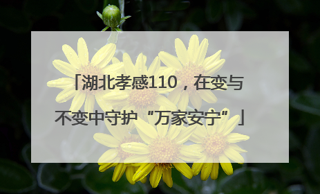 湖北孝感110，在变与不变中守护“万家安宁”