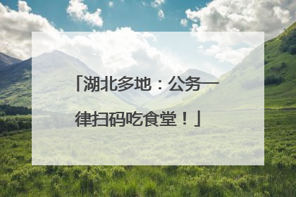 湖北多地：公务一律扫码吃食堂！