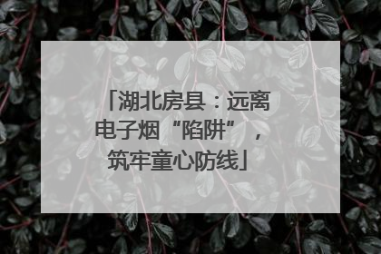 湖北房县：远离电子烟“陷阱”，筑牢童心防线