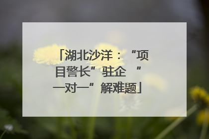 湖北沙洋：“项目警长”驻企 “一对一”解难题